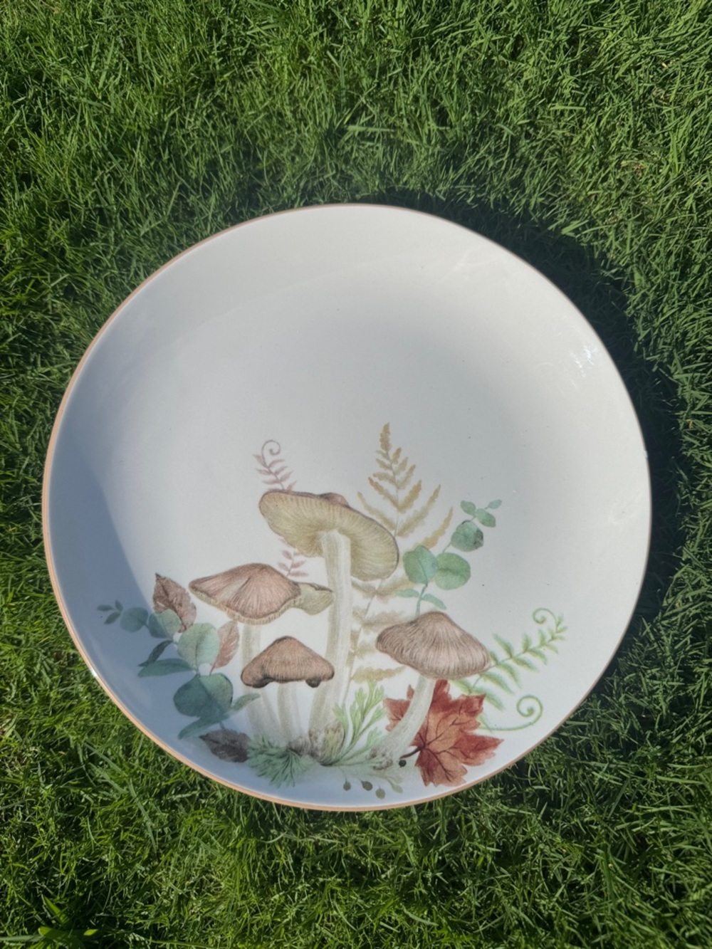 Mushroom Botanical Dinner Plate - White and Brown